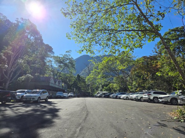 雪山坑登山步道~巨人之手2948712