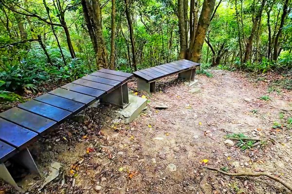 淡蘭古道中路百年山徑~暖東峽谷大環步道2846407