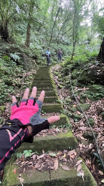微笑山⛰️線-大棟-二格山-五分山-天上山-鳶山💎12條步道完成💙2836371
