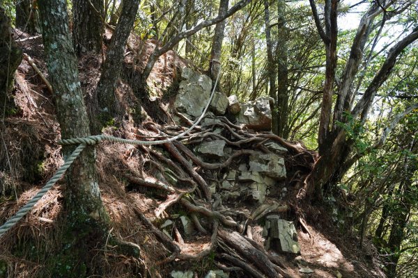 台中 和平 馬崙山2796980