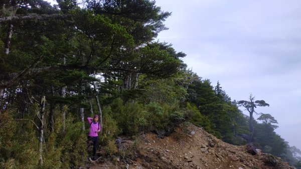 武陵四秀成兩袖(一秀加一宿)1142488