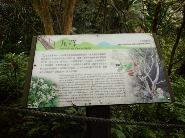 [淡蘭古道] 2026_0531 北路第一段_燦光寮古道(下)-牡丹溪畔3070959