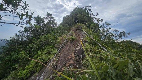 20250714灰窯山-司公碗帽山-南山坪山-平湖山-蝙蝠洞(乾溼洞)2836123