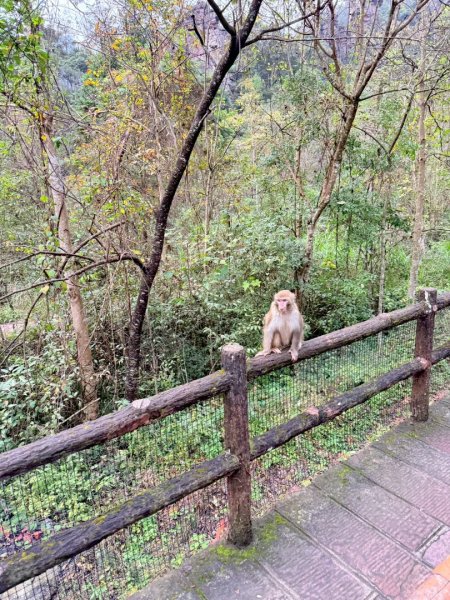 2025/11/8-10張家界園區2939344