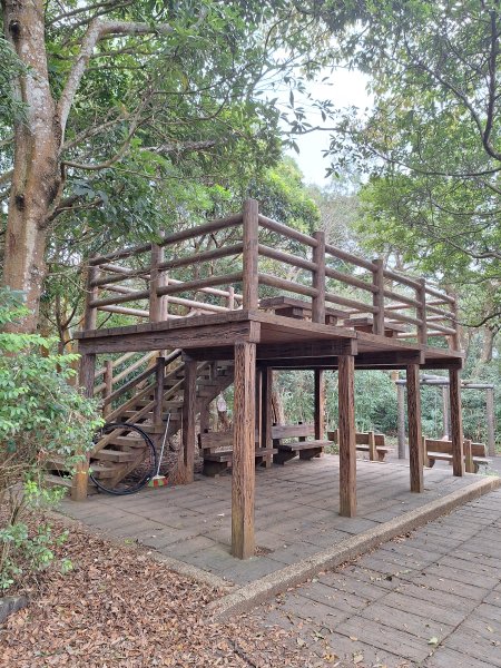 飛龍步道(崇聖亭起登)202401222696336