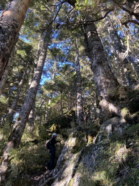 2024/8/30-31尋訪傳說中的鳥山~喀拉業2587338