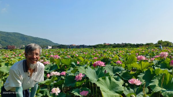 雲山水花鳥蝶 - 天龍國阿伯的日常7/18 & 21、22、292554023