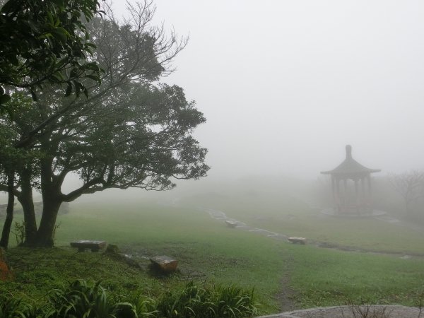 小油坑．中湖．夢幻湖．七星公園．冷水坑95050
