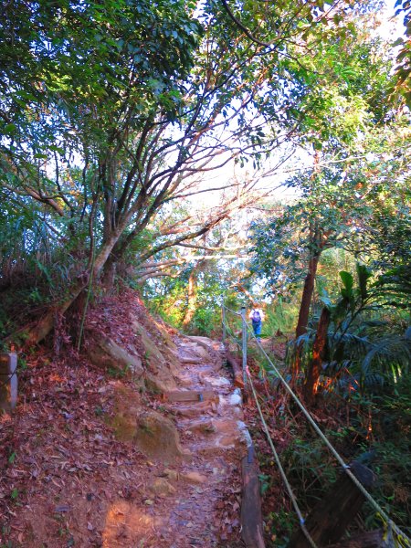 金光閃閃的網美景點：內湖金面山2436281