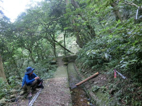 橫嶺古道．半嶺水圳步道115913