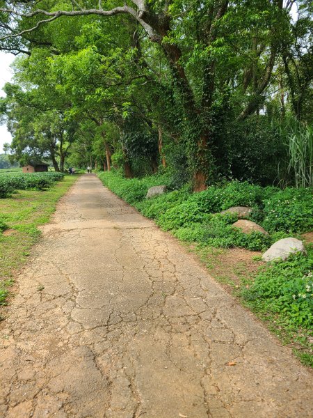 挑炭古道(三通嶺古道)+慈濟山步道2780438