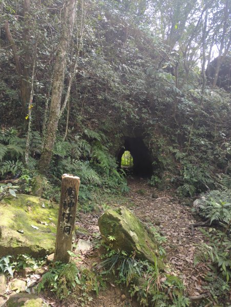 2026.03.14－微笑山線：【五分山系】3015439