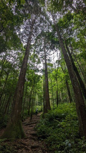 113.05.25北得拉曼-內鳥嘴山2529781