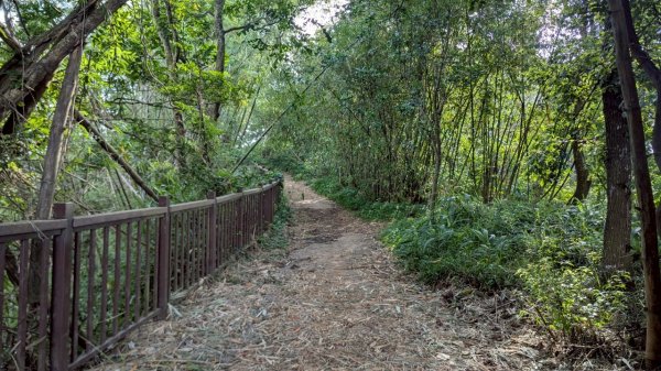橫山步道2838256