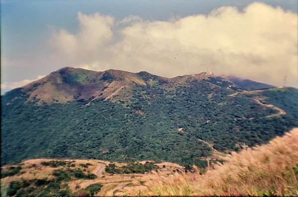 大屯山／二子山1966194