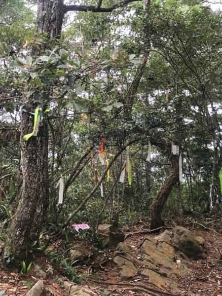 阿冷山、阿冷山前峰、阿冷山北峰685210