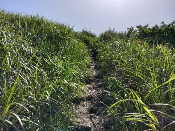 雙溪區不厭亭+牡丹山+樹梅坪+鷹石岩山神廟+不厭亭+奉憲示禁碑+三貂崙+不厭亭8字走2766219