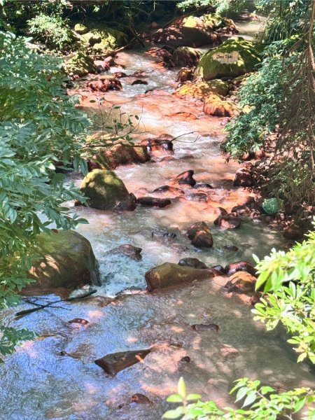 天母水管路走陽明山尖山2881327