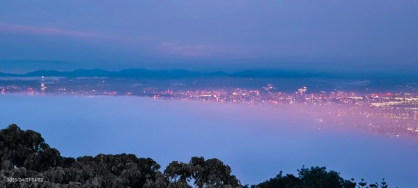 陽明山趴趴走 #琉璃光雲海 ，首拍 #綠鳩 4/272770745