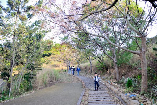 龍井南寮步道545452