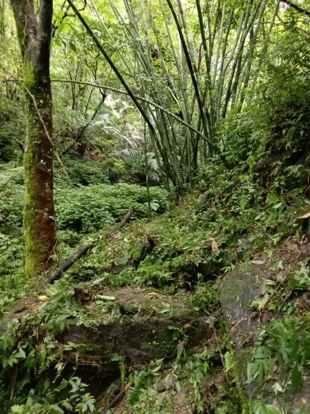 平溪區三功大厝+番子坑山+千階嶺步道O型2781121