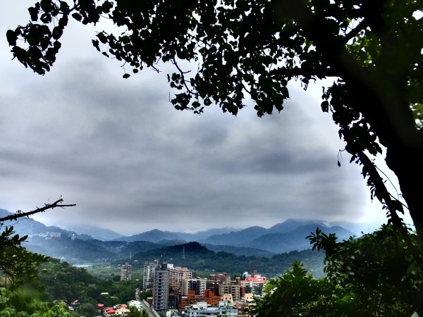 小山美學：新店小獅山步道886806