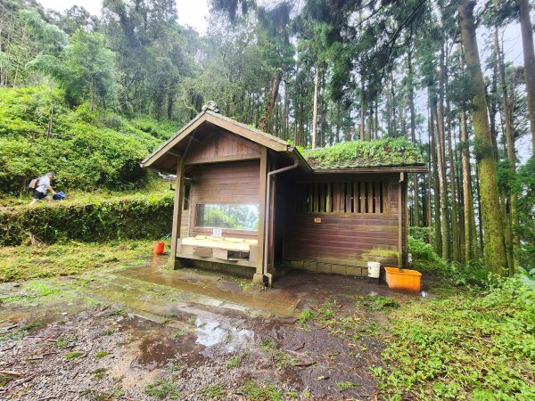 20250719頂湖上大凍山2907133