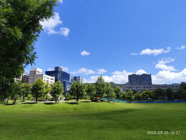 大稻埕、大港墘公園、瑞陽公園、碧湖公園步道【臺北健走趣】2874227