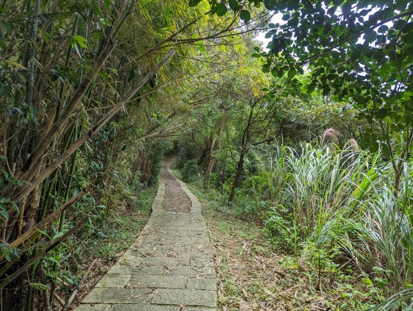 四獸山步道：虎山、豹山、獅山、象山1618631