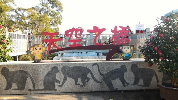 台中八仙山森林遊樂區，天籟步道，白鹿吊橋，南觀音山，溪頭森林遊樂區，妖怪村，猴探井天空之橋1858706