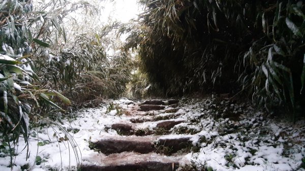 人生第一次賞雪(面天山、向天山)1246393