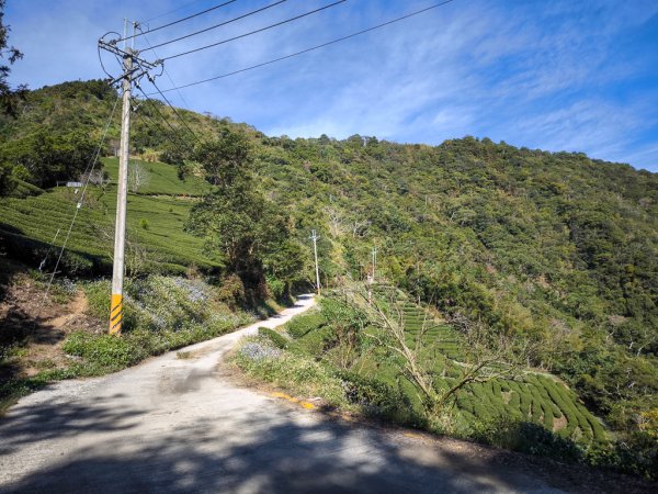 2025-12-21 武界山、獅凸魯山、橫屏山、橫屏山西峰2969753