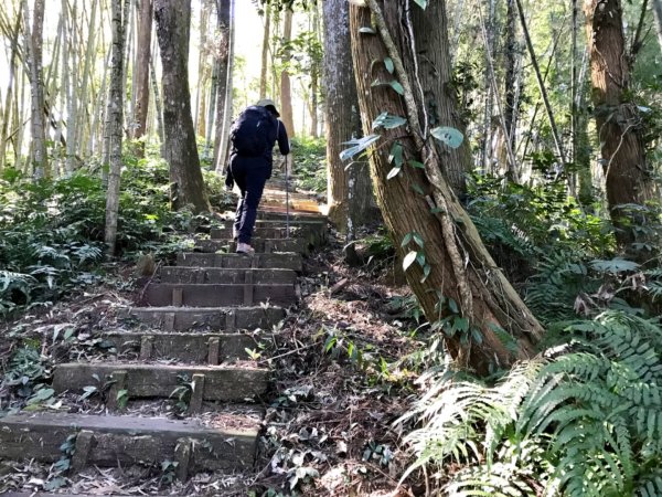 圓水瑞水環走四大天王山1573594