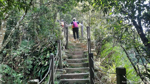 《台中》虎頭蜂巢｜大坑5號登頭嵙山黑松亭（聖普宮）202508092855081