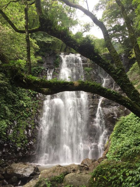 滿月圓森林步道209795