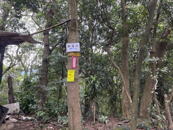 [微笑山線_第一段] 2025_0720 大棟山系_鎮遠山2843573