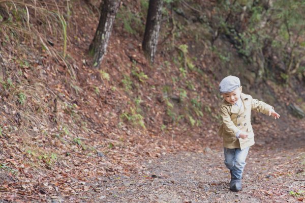 20200310-司馬庫斯神木群步道914322