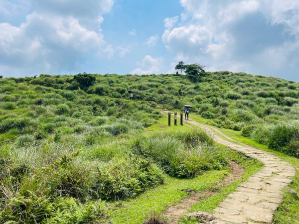 1140621冷水坑-擎天崗-石梯嶺2817701
