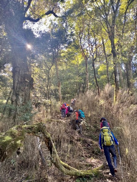 加里山縱走虎山    2021/12/41539157