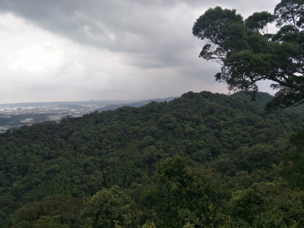 2019 06 27 鳶山登山步道618804