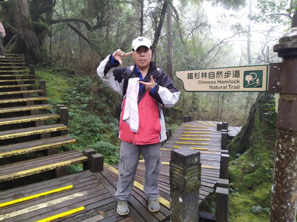 【山系野遊】太平山檜木原始林步道