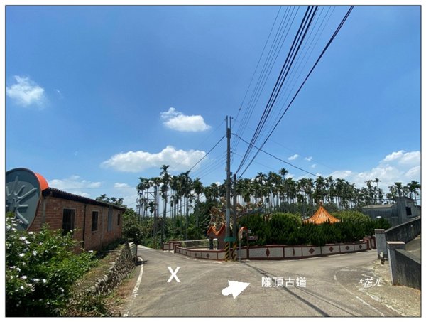 南投台、隴頂古道、員林廣天宮、員林神社 連走3112706