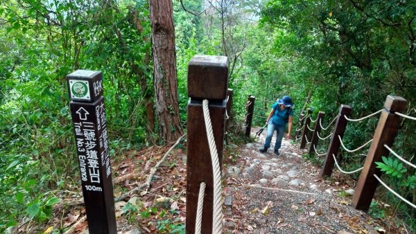 【頭嵙山】1496760