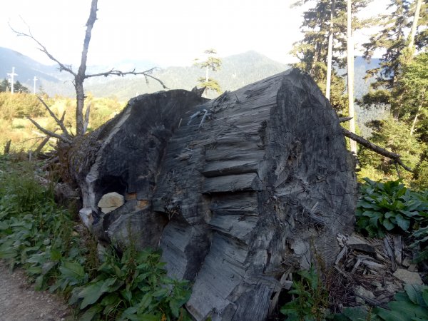 將軍廟上天鑾池+武法奈尾山1881039