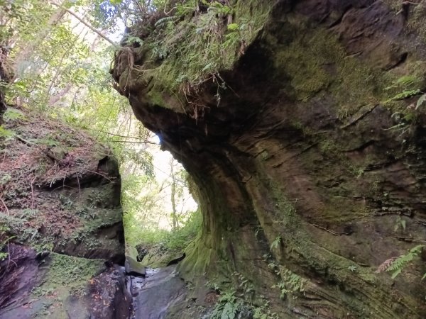 平溪區石古井古道(新路徑)+青林山+盤山坑古道O型2893258