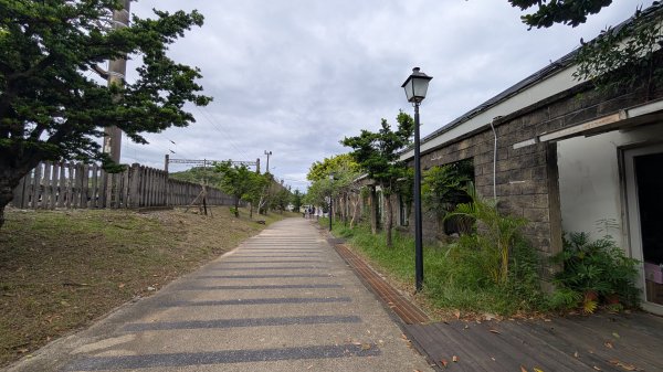 114.11.09草嶺古道芒花季之旅2932931