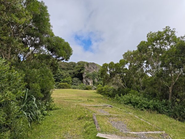 [百山百鳥尋旅-02/15] 2025_0809 社頂自然公園步道2857036