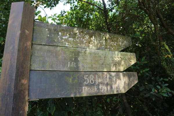 小百岳NO12  汐止大尖山 縱走海拔641公尺 四分子尾山2229060