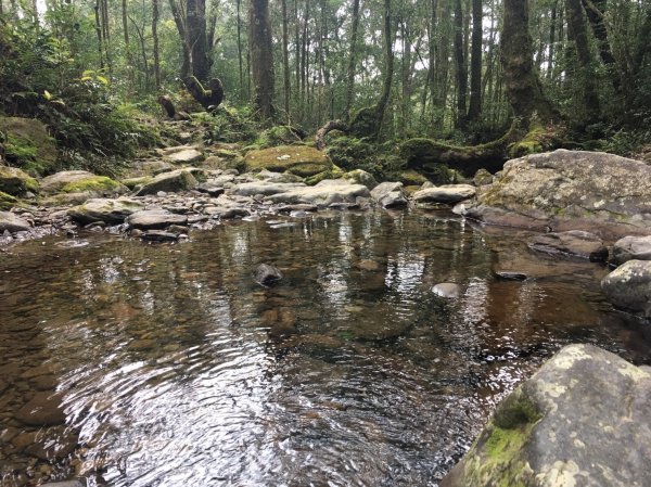 雨神山友：終於中籤的北插天山539959