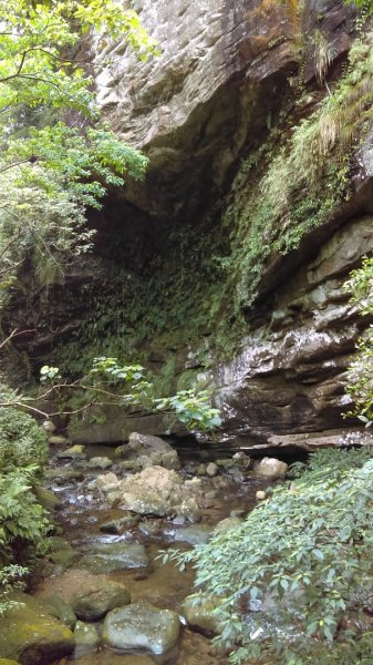 滑瀑岩洞、溪水清澈的基隆暖東峽谷步道974256
